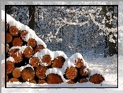 Śnieg, Zima, Las, Pocięte, Drewno