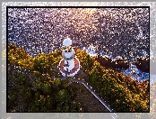 Morze, Sugarloaf Point Lighthouse, Latarnia morska, Australia, Drzewa, Z lotu ptaka