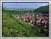 Pola, Kayserberg, Panorama, Las, Wzgórza, Łąki