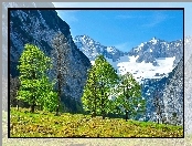 Góry, Polana, Drzewa