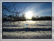 Pole, Słońce, Śnieg, Drzewa