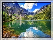 Drzewa, Polska, Góry Tatry, Jezioro Morskie Oko, Lato