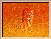 Pomarańcz, Tygrys, 3d, Kot, Paski