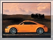 Pomarańczowe, Audi TT, Lewy Profil