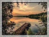 Pomost, Drzewa, Jezioro, Słońca, Roślinność, Wschód