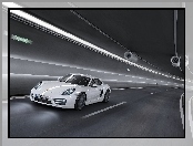 Porsche Cayman S, Droga, Tunel