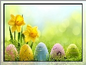 Poświata, Wielkanoc, Żonkile, Kolorowe Jajka, Trawa