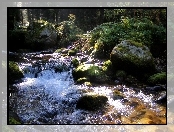 Potok, Tatry