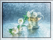 Powój, Bokeh, Kwiaty, Filiżanka