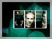 Prison Break, zdjęcia, Dominic Purcell