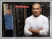 cele, Prison Break, Dominic Purcell, kraty, Wentworth Miller