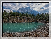 Prowincja Alberta, Park Narodowy Jasper, Rzeka Athabasca, Kanada, Drzewa, Góry