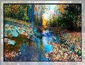 Przebijające, Rzeczka, Las, Jesień, Kamienie, Światło