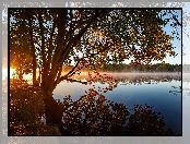 Przebijające, Las, Jezioro, Drzewa, Mgła, Światło