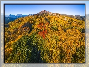 Przełęcz, Drzewa, Góry, Stany Zjednoczone, Las, Jesień, Kebler Pass, Kolorado
