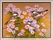 Ptaki, Liliowe, Kwiatki, Trzy, Kolorowe