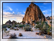 Skała, Stany Zjednoczone, Kalifornia, Park Narodowy Joshua Tree, Pustynia