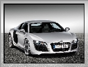 Audi R8, Diesel