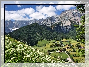 Domy, Gmina Ramsau am Dachstein, Austria, Roślinność, Góry Alpy Salzburskie, Dolina