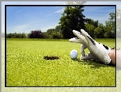 Golf, Ręka, Rękawiczka