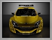 Renault Megane Trophy, Spojler