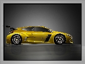 Renault Megane Trophy, Sport