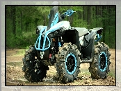 Niebieski, Renegade 1000 R XMR, Quad, Can-Am