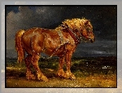 Koń, Reprodukcja, Obrazu