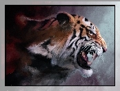 Tygrys, Reprodukcja, Obrazu