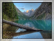 Jezioro Szawlińskie, Republika Ałtaju, Rosja, Pień, Góry Severo-Chuisky, Ałtaj, Drzewa