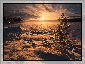 Zima, Ringerike, Norwegia, Zachód słońca, Zaśnieżone, Jezioro, Drzewa