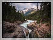 Las, Góry, Rzeka, Skały, Alberta, Mount Sarbach, Canadian Rockies, Drzewa, Park Narodowy Banff, Góra, Kanada, Mistaya River