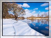 Emajogi River, Drzewa, Zima, Estonia, Rzeka, Prowincja Tartu