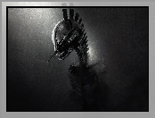 Robot, Grafika