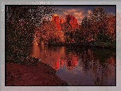 Arizona, Sedona, Czerwone, Odbicie, Skały, Góry, Rzeka, Drzewa, Cathedral Rock, Stany Zjednoczone