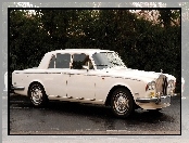 Biały, Rolls Royce