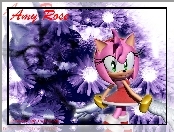 Amy Rose, Sonic