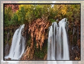 Stany Zjednoczone, Wodospad, Fifty Foot Falls, Arizona, Roślinność