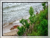 Morze, Rośliny, HDR, Woda, Fale, Wybrzeże, Plaża