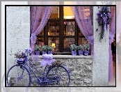 Rower, Budynek, Okno, Kwiaty