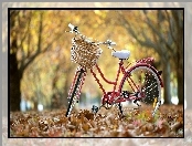 Rower, Jesień, Park, Liście