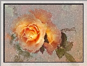 Żółta, Róża, Paintography