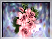 Kwiaty, Różanecznik, Grafika