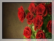 Czerwone, Róże, Bukiet