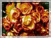 Róże, Krople