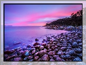 Tasmania, Bluestone Bay, Brzeg, Zachód słońca, Kamienie, Morze, Niebo, Różowe, Drzewa, Australia