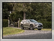 Lexus RX 450hL