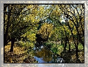 Park, Rzeczka, Cienie