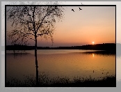 Rzeka, Słońca, Drzewa, Zachód