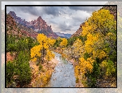 Góra Watchman, Jesień, Drzewa, Rzeka, Stany Zjednoczone, Góry, Utah, Virgin River, Park Narodowy Zion